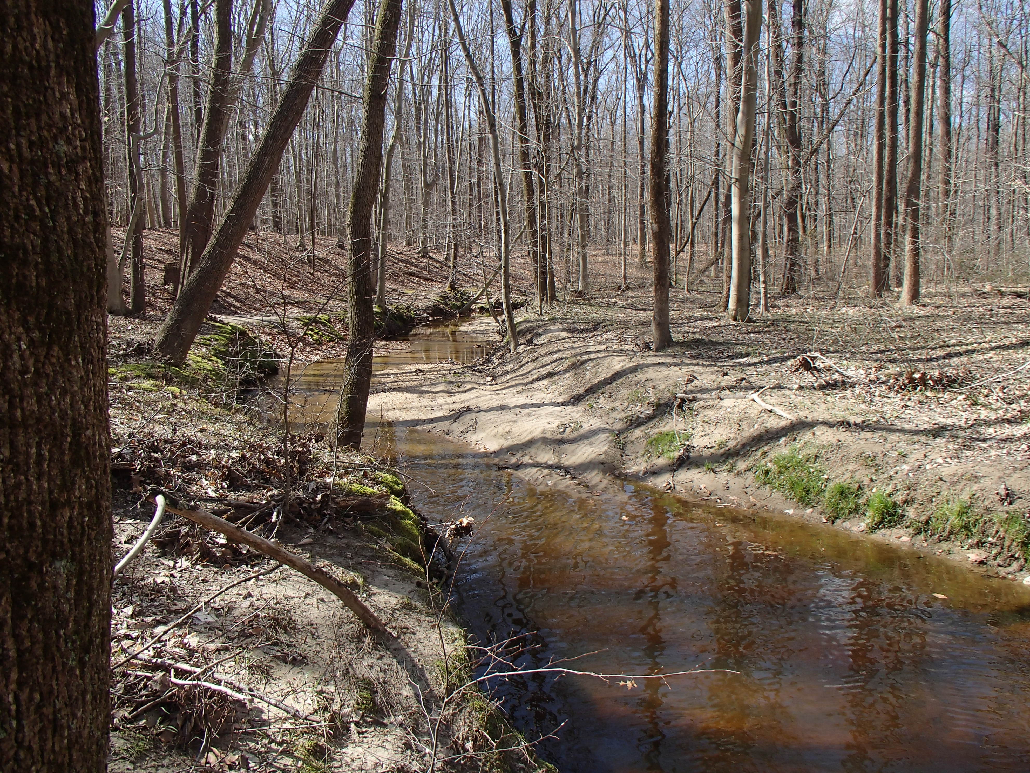 Field photo showing stream conditions at site LIEL-118-R-2016_Midpoint looking upstream